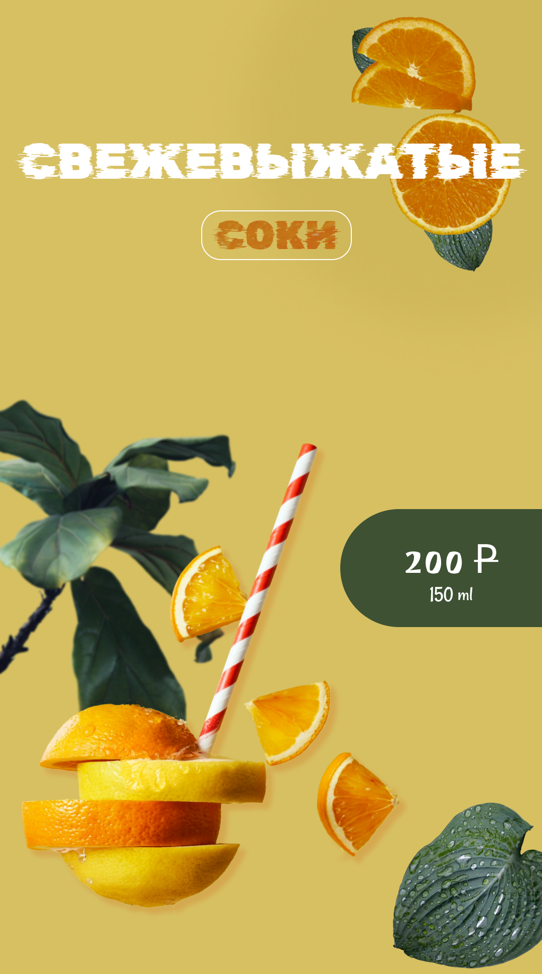 Card-6